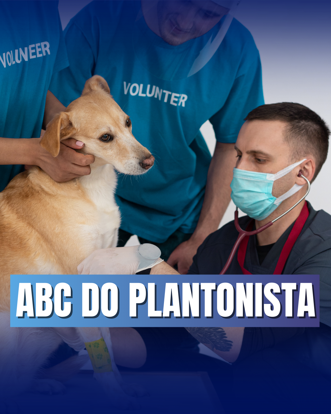Curso de primeiros (10)