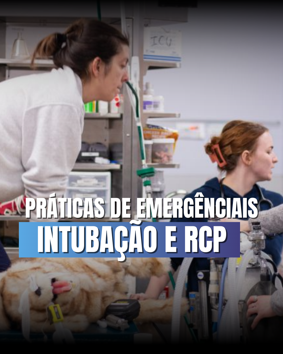 Curso de primeiros (12)