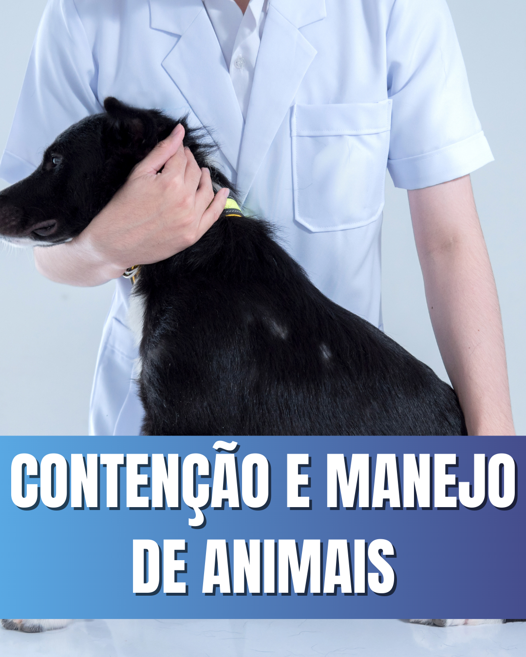 Curso de primeiros (17)
